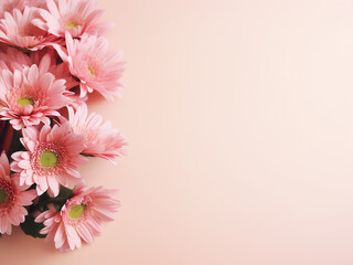 Pink chrysanthemum bouquet against pale pink beige background