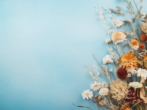 Dried flowers arranged elegantly on light blue, space for text