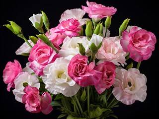 Bouquet of pink and white eustoma flowers with green leaves stands out on a white background