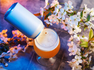 concept of craft seasonal spring beer. Beer can, blooming branches of white cherry