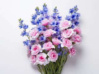 Delicate statice flowers in blue, pink, and white against a white backdrop