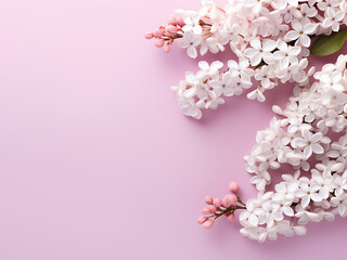 Minimal style template showcases white lilac petals in a flat lay
