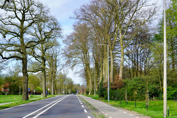Obraz premium road in the countryside