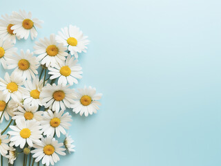 Chamomile flowers set against a pastel backdrop form a soothing composition with space for text