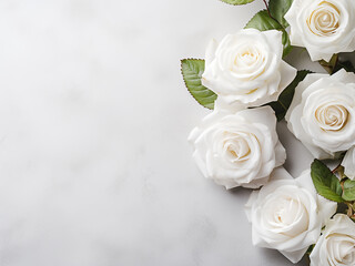 Obraz premium White roses placed on a pastel gray background create a serene composition