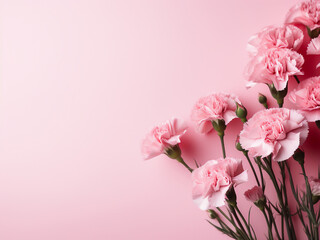Pink background adorned with fresh carnations, ideal for text placement