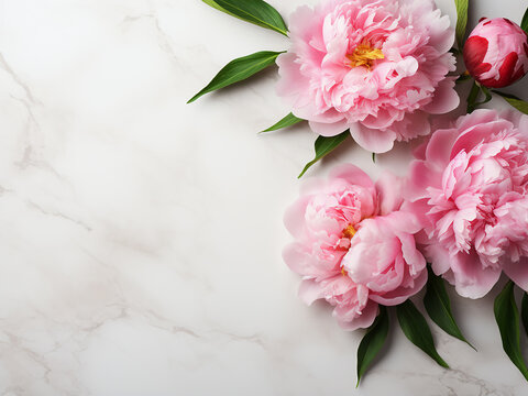 Pink peonies arranged neatly on white marble with copy space