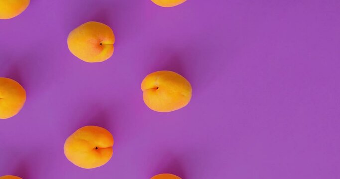 Video of Apricots pattern on bright purple background. Apricot pattern. Top view, flat lay. Summer fruit concept banner with copy space.