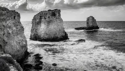 Foto op Canvas Vintage-style black and white seascape photo of a rocky shoreline with rough waves. © Ifthkhar