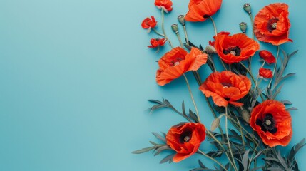 A bunch of bright red poppies contrast beautifully against a vivid blue background