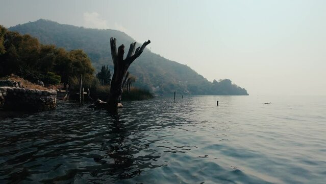 Smoky view of Santa Cruz shoreline on lake Atitlan with a tree in the water 