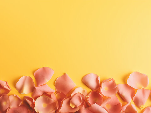 On a yellow background, rose petals offer space for text or images