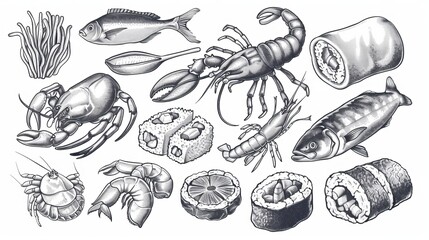 Seafood vector illustrations hand-drawn line art of sea fishes, sushi rolls, oysters, mussels, lobster, squid, octopus, crabs, prawns, fish fillet, laminaria, and wakame seaweeds in a healthy food set - obrazy, fototapety, plakaty