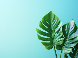 Summer vibes tropical leaves against a bright blue background