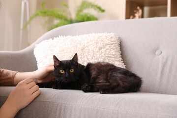 Woman with cute black cat on sofa in living room