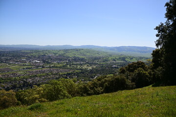 landscape with trees and mountains