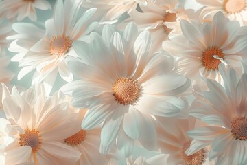 Pastel-colored daisy flower pattern - Soft and delicate floral background with a feminine and romantic feel