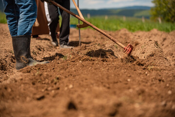 Team of farmers are working on an agricultural fields on the country garden.