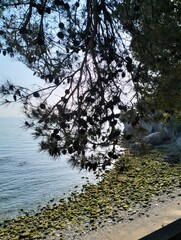 Miramare Italy