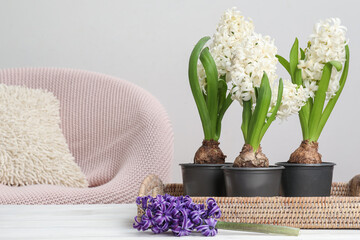 Beautiful hyacinth flowers in wicker tray on table in room