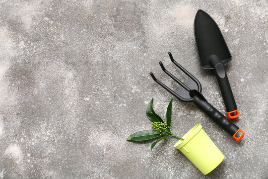 Shovel, rake and pot with plant on grey background. Top view