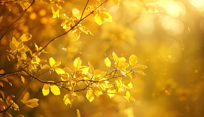 Obraz premium Minimalist photography background