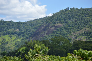 Fototapeta na wymiar Mountain in the background of vegetation in the interior of Brazil
