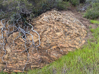 Grass Covered Ridge Lines and Hills