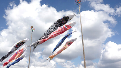 "Koinobori " Carp streamers held in the sky on Children's Day in Japan