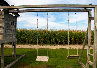the swings are in the small green grass field near the corn fields