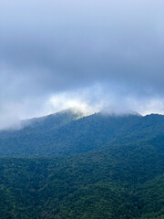 beautiful mountain with cloud forest
