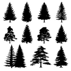 set of silhouettes of trees