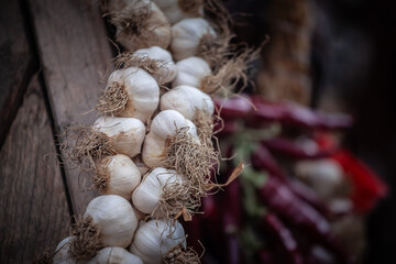 Garlic braids for sell on a Serbian market in Belgrade, Serbia, a country famous for its agriculture and its garlic production. Garlic is also called Allium sativum. - obrazy, fototapety, plakaty