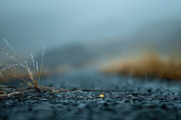 An ultra-minimalist scene of a single dewdrop on a vast