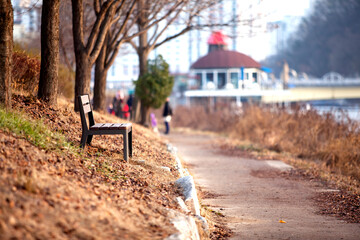 View of the empty bench on the footpath at the lakeside