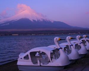早朝岸辺で眺望美しい世界遺産富士山　山中湖　スワン遊覧船
