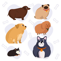 Cute vector illustrations of fat dogs. Overweight dogs. 
fat pets. fat dachshund. 
vector illustration of cute fat dogs. animal health