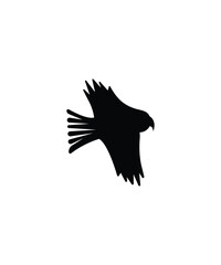 eagle icon, vector best flat icon.