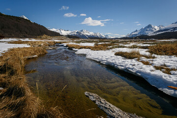 Laguna de deshielo con troncos, agua limpia, nieve y  en primer plano y la Cordillera de los Andes al fondo. Paisaje puro y limpio. Naturaleza y ecología