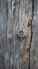 Obraz premium Weathered wood grain, subtle knots and lines, natural imperfections