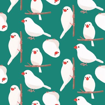 ぶんちょう」の写真素材 | 4,873件の無料イラスト画像 | Adobe Stock ぶんちょう」の写真素材 | 4,873件の無料イラスト画像 | Adobe Stock