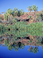 lawnhill National park in far western Queensland, Australia.