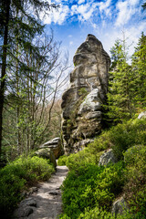 Fototapeta na wymiar Path Leading to Large Rock in Adrpach Teplice Forest