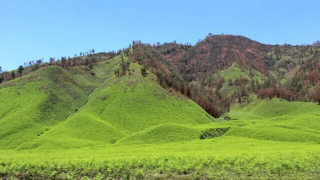 Beautiful view of Jemplang Valley, a 382 hectar savanna in the Bromo Tengger Semeru National Park area.