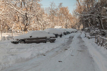 Fresh snow with in a town with cars covered with snow - 780211786