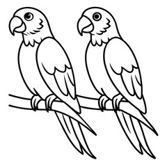 two parrots on a branch
