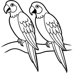 two parrots
