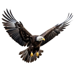 illustration of flying eagle, Isolated on transparent PNG background, Generative ai