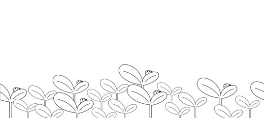  Spring line art style with transparent background, vector illustration and seamless pattern