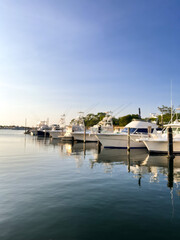 boats in the marina